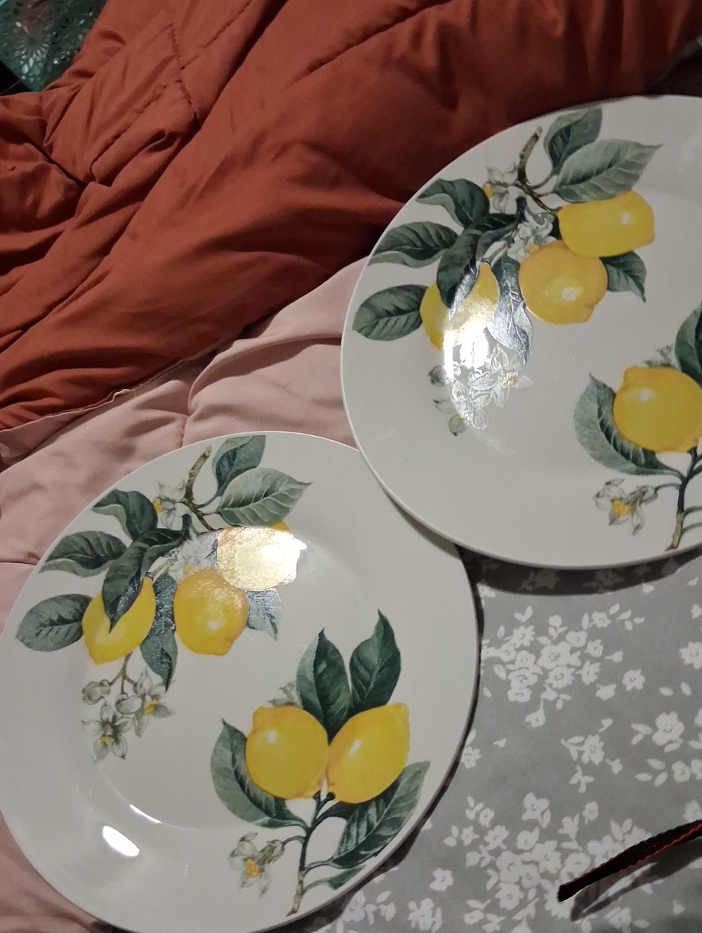 2 Royal Norfolk Yellow Lemon & Green Leaf Ceramic Dinner Plate Set